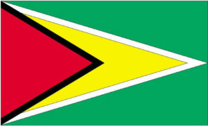 Guyanese Flag